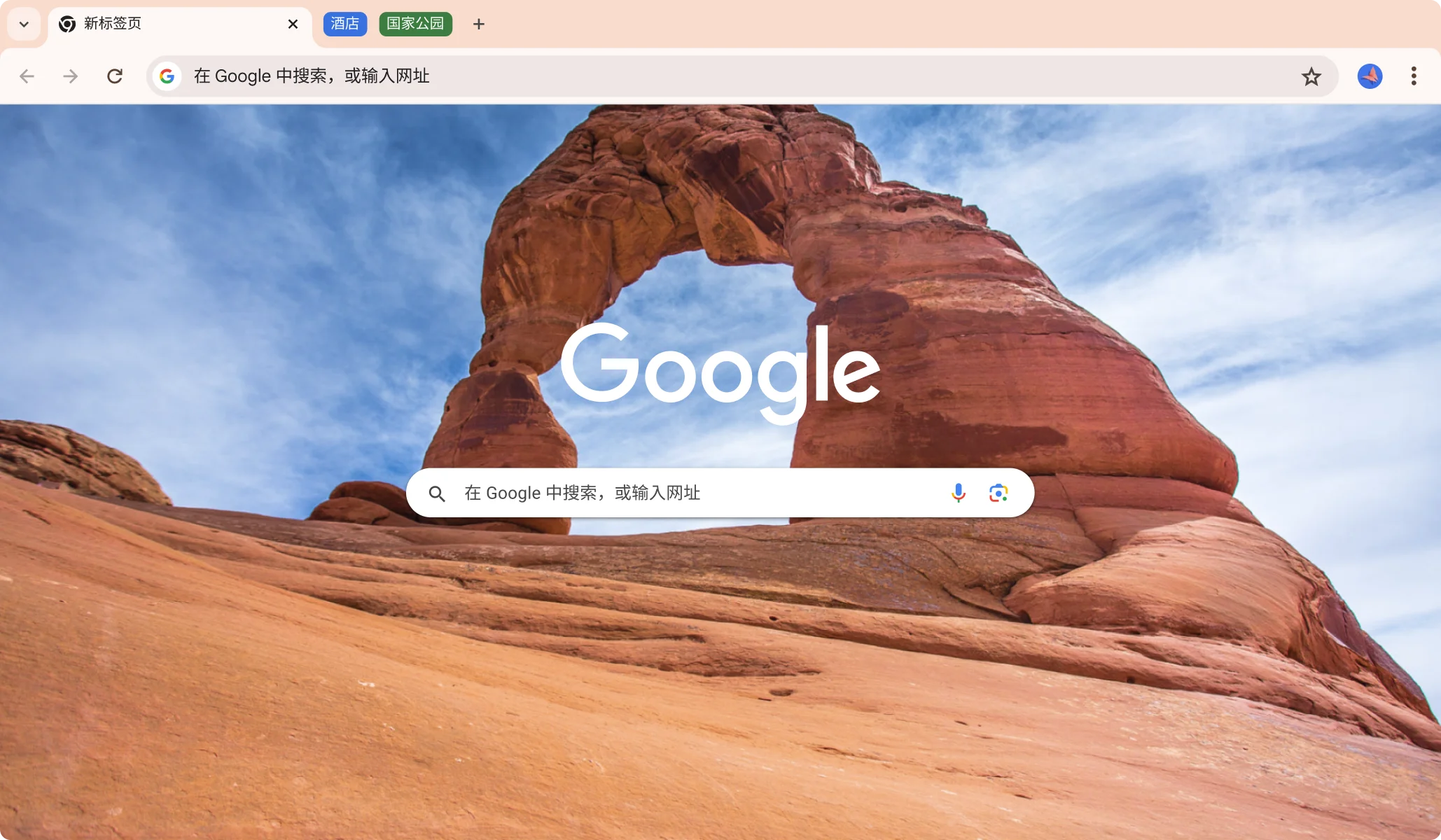 Google Chrome 截图 1